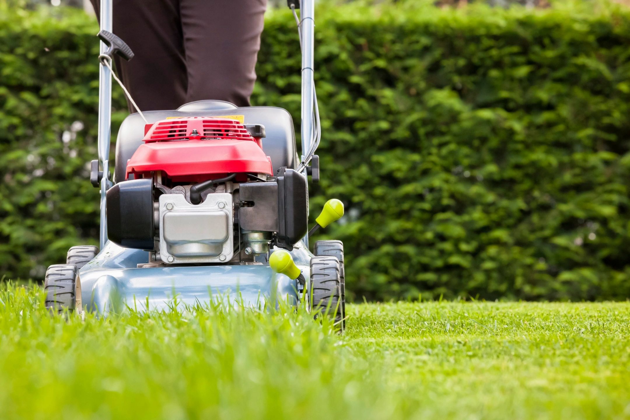 Professional lawn mowing a healthy green lawn